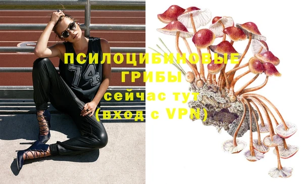 МДПВ Абинск